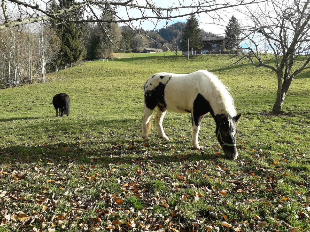 Haus Hagspiel Hittisau Exterior foto