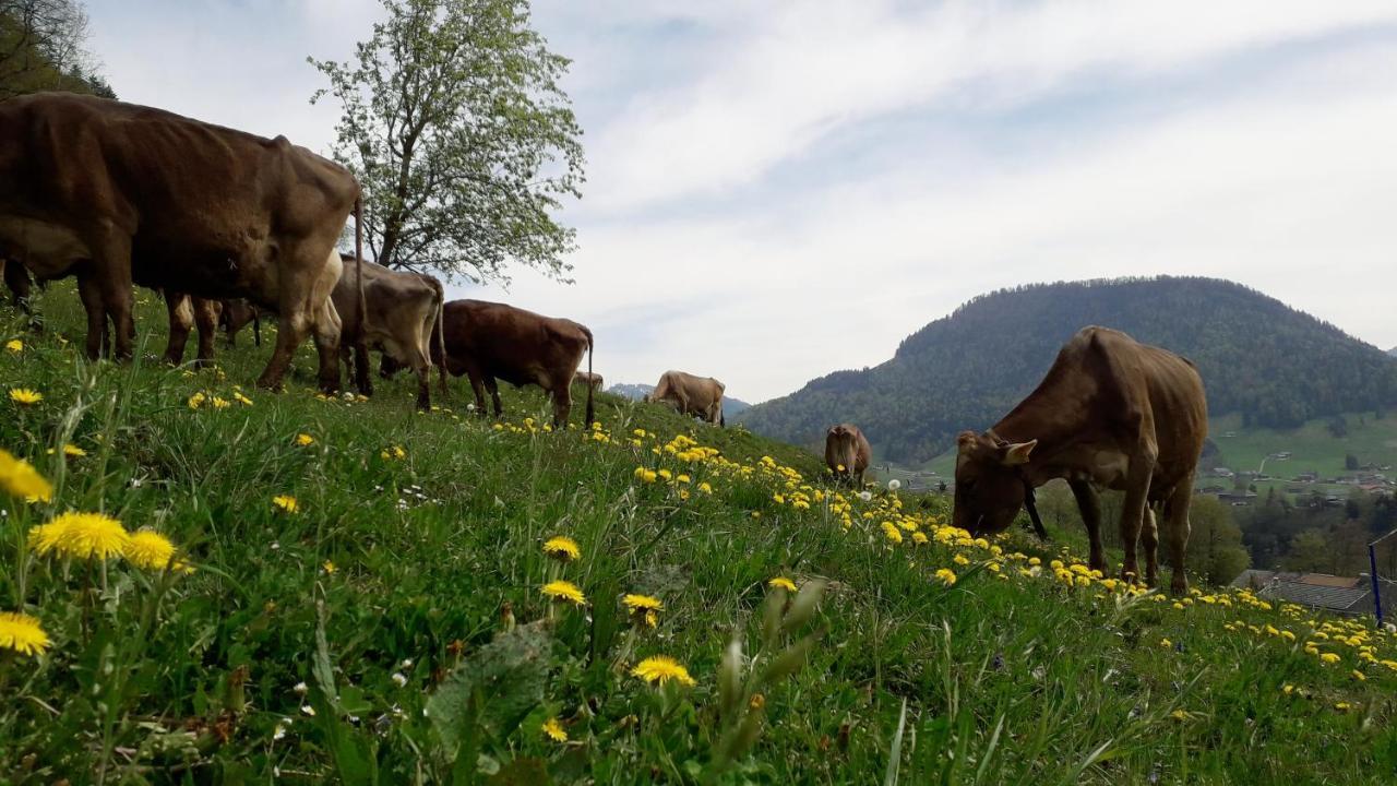 Haus Hagspiel Hittisau Exterior foto